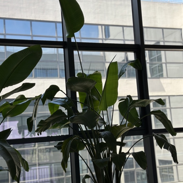 岳一科技夏日炽热不减，坚守一线为客户送清凉服务